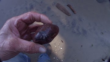 Devils Churn part 3. Mudfossils at Neptune