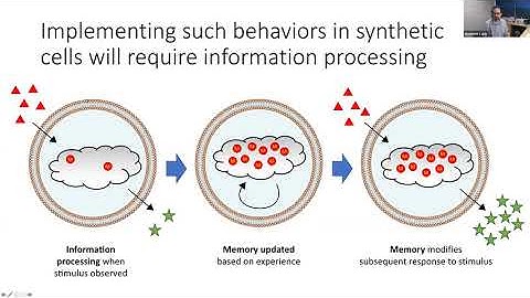 Build-a-Cell seminar Matthew Lakin: Information processing in synthetic cells