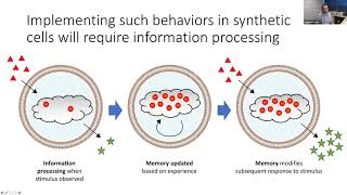 Build-a-Cell seminar Matthew Lakin: Information processing in synthetic cells