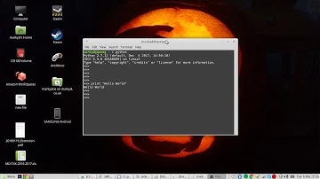 Linux Mint Python Hello World