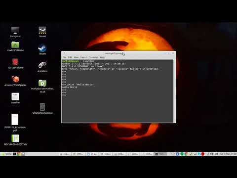 Linux Mint Python Hello World