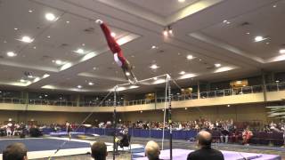 Josh Dixon – High Bar – 2015 Winter Cup Prelims
