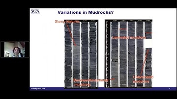 Mudrock Sedimentology on Unconventional Shale Reservoirs by Dr. Ursula Hammes