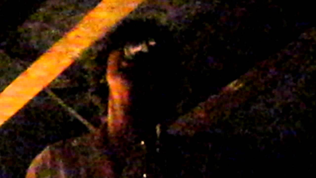 Cass McCombs - Bobby, King Of Boys Town