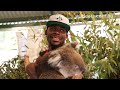 Perth Wildcats - James Ennis meets Australian wildlife - 29 August 2013