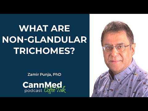What Are Non-Glandular Trichomes? - Zamir Punja, PhD