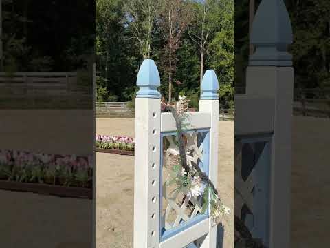 Used Horse Jumps For Sale Craigslist