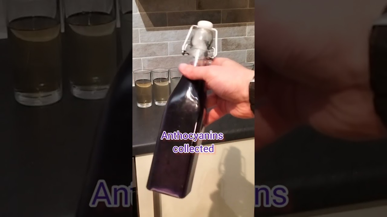 Left Over Red Cabbage? | Red Cabbage Indicator Experiment