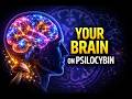What Psilocybin Does to Your Brain | The Neuroscience Explained