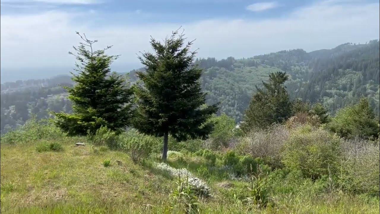 .73 ACRES OCEAN VIEW Land For Sale 98016 4 Crown Terrace Brookings OR