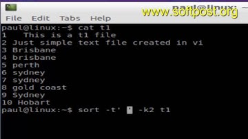 How to sort file based on specific column in Ubuntu