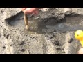 第十三回 佐賀よかでしょう 【潮干狩り編】