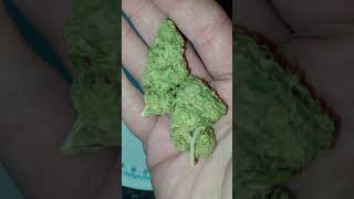Dr. Ganja, Wedding Crasher CBD/THCa hemp flower (is it good?)