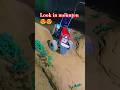Swaraj 855 look in mountain😍😍#look#danger#toy#minitoy #virel