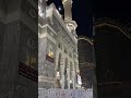 فواتح سورة فصلت من صلاة الفجر 18 ذو القعدة 1447 الشيخ ماهر المعيقلي