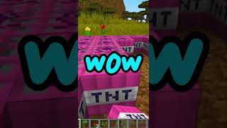 Minecraft'ta 1 Milyon TNT Patlatmak? (İmkansızdı!)