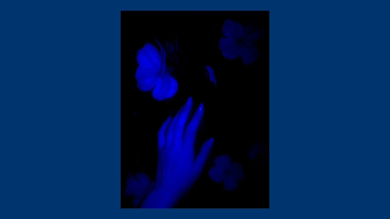 Anna Blue - Silent Scream (slowed and reverb)