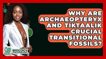 Why Are Archaeopteryx And Tiktaalik Crucial Transitional Fossils? - Biology For Everyone