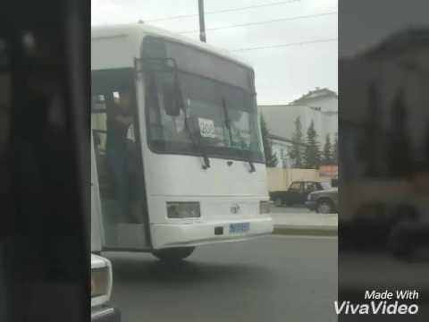 Video: Yaroslavlda Avtobuslar Necə Işləyir