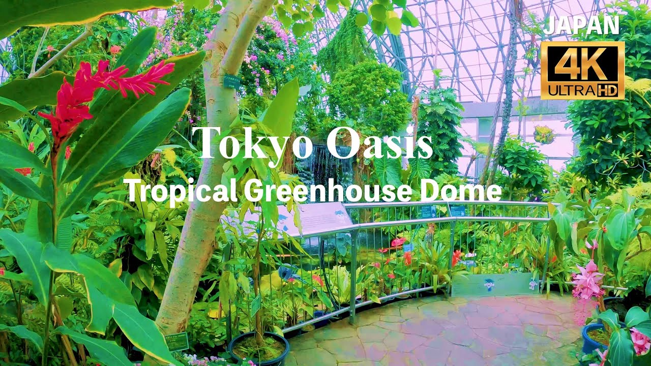 [☁🌞Юменосима] Прогулочный тропический ботанический сад | Токио, Япония | 4K