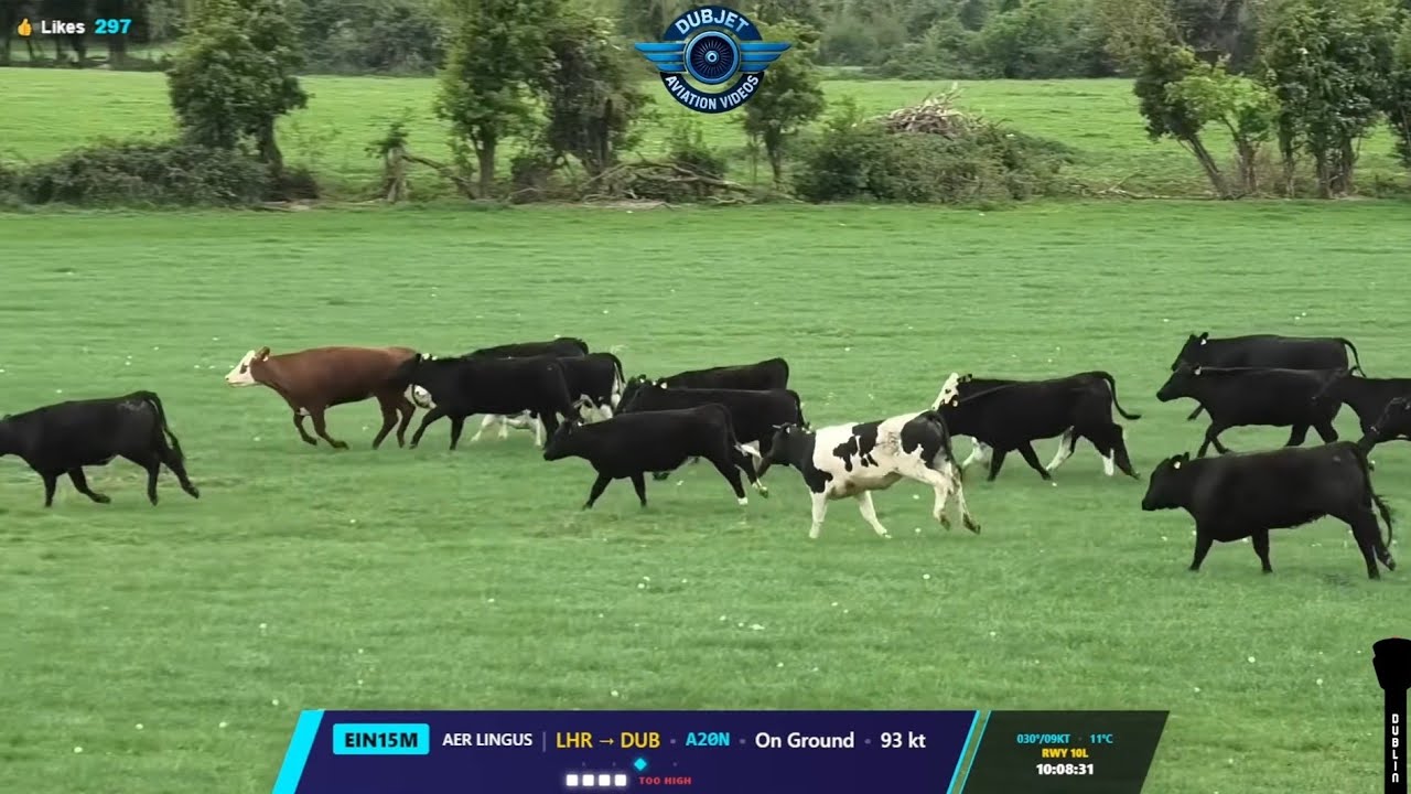 🔴May The 4th - A Moo Hope - Dublin Airport LIVE Plane Spotting - EIDW/DUB - 04/05/2026