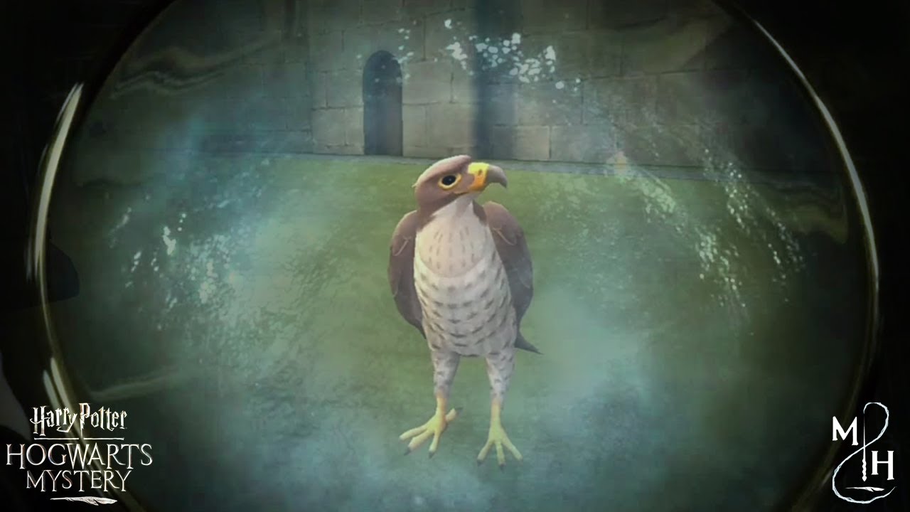 Harry Potter: Hogwarts Mystery / Año 3 / Recuerdo - Aventuras de ...
