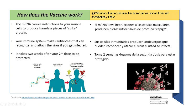 Pediatric Covid Vaccine, Parent Q and A with Dr. Diane Dubinsky