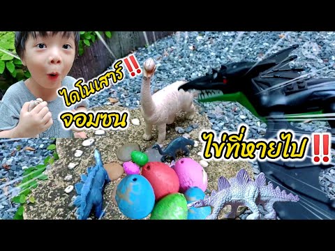 ไดโนเสาร์จอมซน กับไข่ไดโนเสาร์ ที่หายไป‼️ dinosaur eggs‼️   | น้องธันธัน