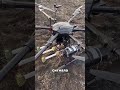 😨 ПОЧЕМУ ПОЛЯ СРАЖЕНИЯ ВСЕ В ПАУТИНЕ 🕸️ #наука #интересно #факты