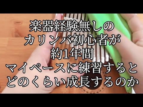 楽器経験無しのカリンバ初心者が約一年間マイペースに練習をするとどのくらい成長するのか