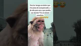 #tutorial #humor #memes #comedia #comentaycomparte #mono #monkey #fypシ #automobile #dúo #reels