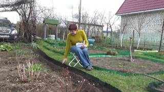Сеем в грунт однолетние цветы Сеем в грунт однолетние цветы