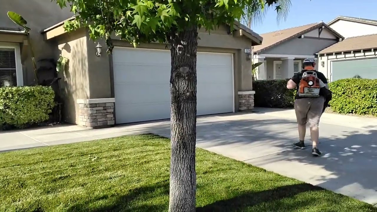 CONNOR working hard with the Stihl BR350.
