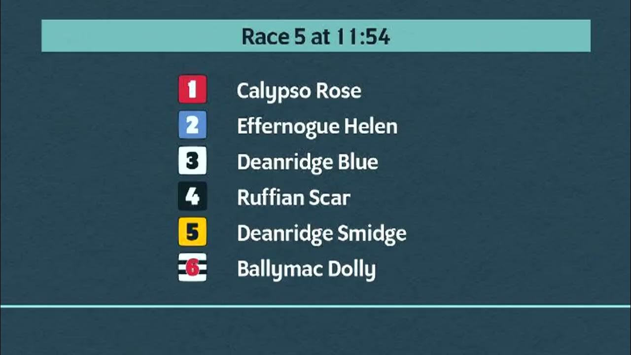 Crayford Races on Wednesday 16th November 2022 YouTube