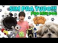 GASTEI MAIS DE R$500,00 NO PET SHOP | 2 MESES DO THÓR | PEDRO MAIA