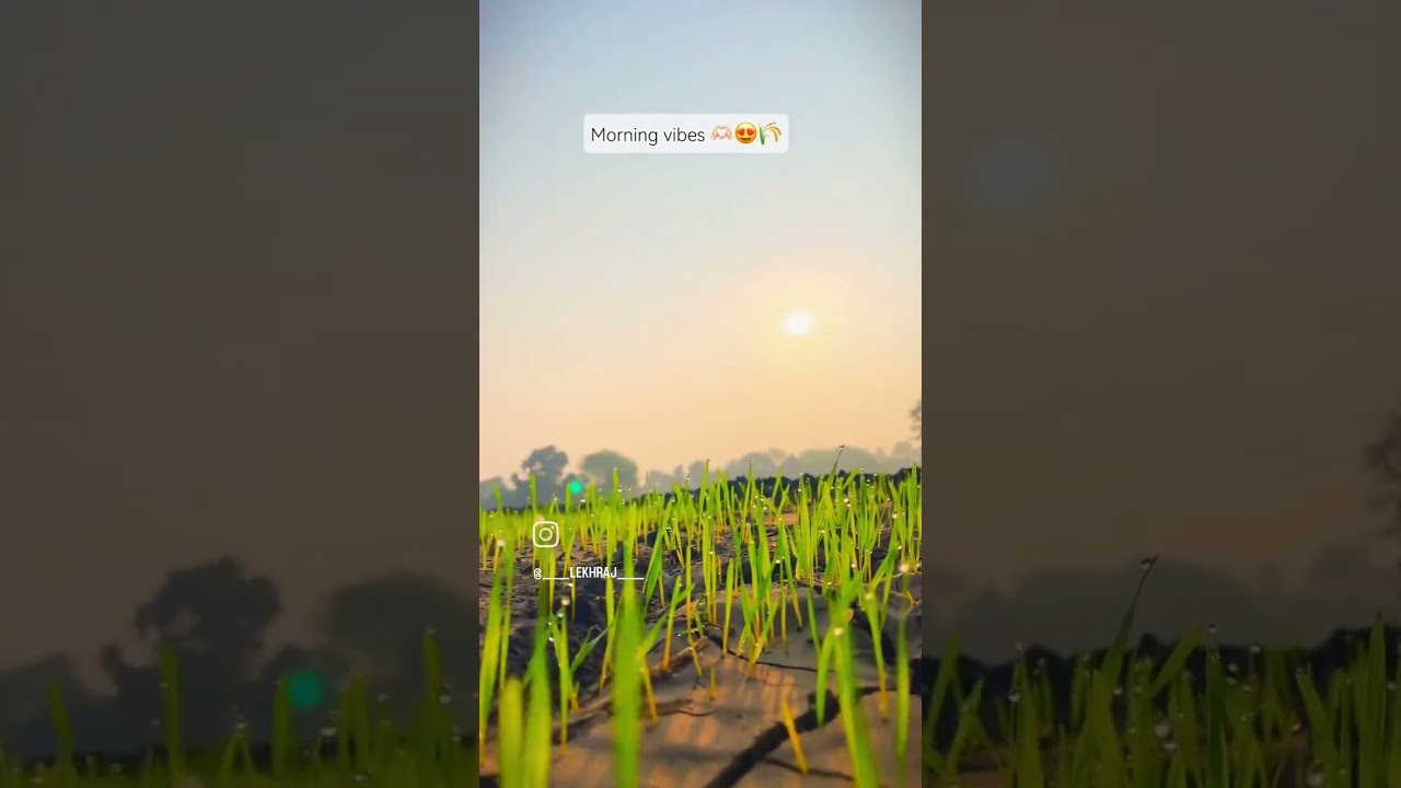 #agriculture_technique