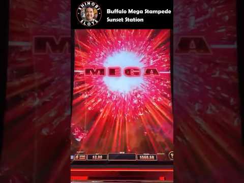 Mega Feature Triggered in Buffalo Mega Stampede slot! #shortfeed #shorts #shinobislots