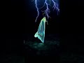 Punctuated equilibrium: the riot of bodies #substack #shorts