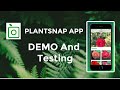 Plantsnap plant identification app demo and testing