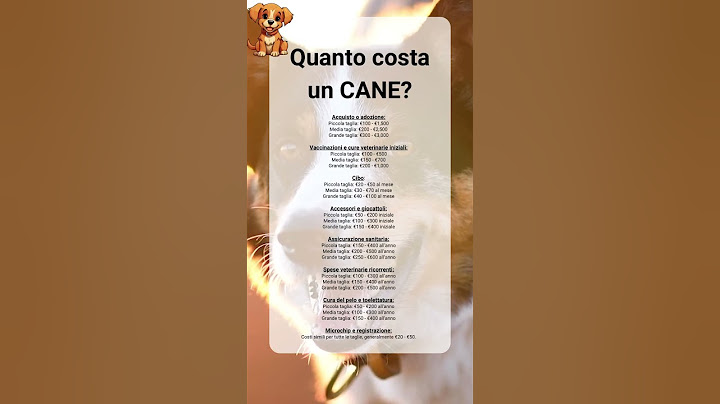Quanto costa un cane? #finanzapersonale #cane #soldi #quantocosta