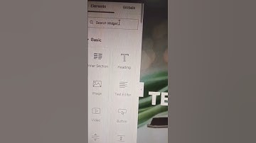how to add a copy text button to WordPress if you are using elementor the easiest method
