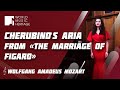 Cherubino s aria from the marriage of figaro Ария Керубино из оперы Свадьба Фигаро Моцарт MP3