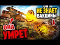 Вакцины не будет, у пз38 ее нет. Теории Геранд