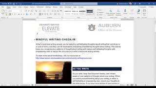 Word document accessibility demonstration Net Worth