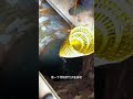 Fishing trap videos #foryouシ #fishing #nature #videoreels