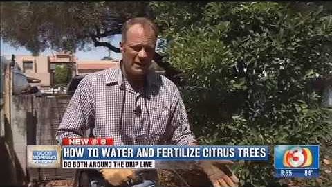 The Garden Guy shows us how to water and fertilize citrus trees