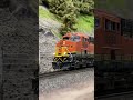 Eastbound at East Blacktail #modelrailroad #train #railfan #hoscale #railroad #railway #bnsf thumbnail