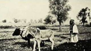 The Plow