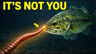 The #1 Reason Bass Stop Biting It’s Not What You Think