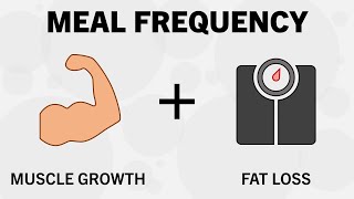 How Many Meals per Day Should You Eat?